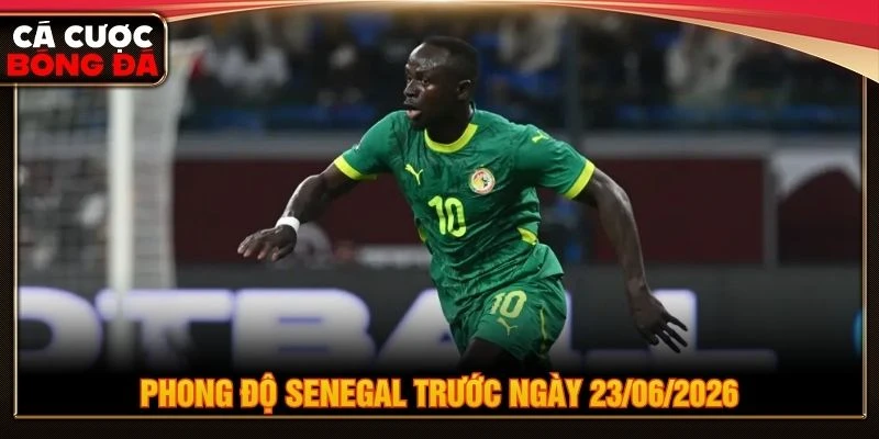 Phong độ Senegal trước ngày 23/06/2026
