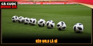 Kèo 0/0.5 là gì