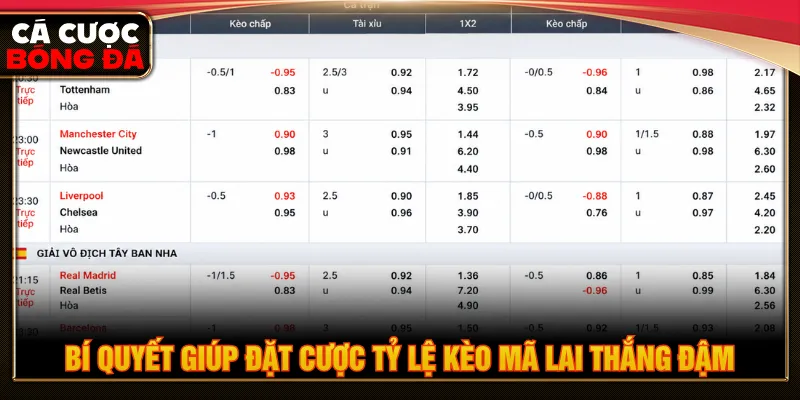 Người chơi cần theo dõi trận đấu khi đặt tỷ lệ kèo Mã Lai